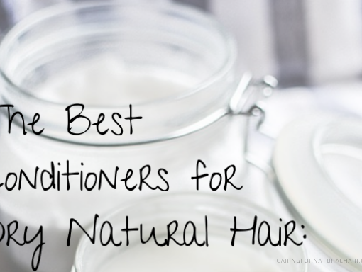 best conditioners for dry natural hair